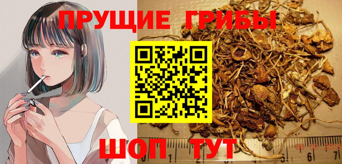 Галлюциногенные грибы GOLDEN TEACHER  что такое   Киржач  Вход с VPN 